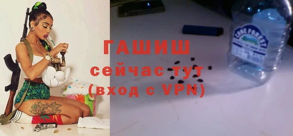 сатива Богородицк