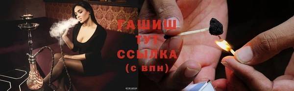 МДПВ Богородск