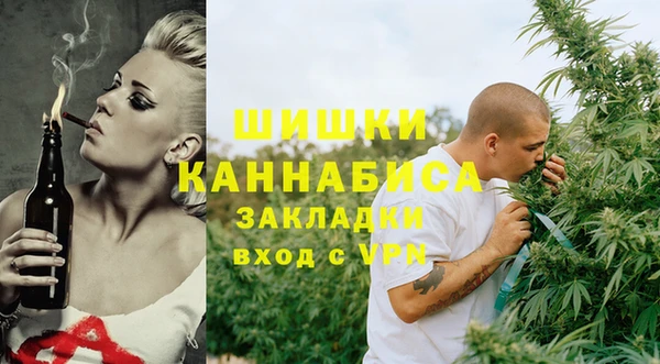 сатива Богородицк