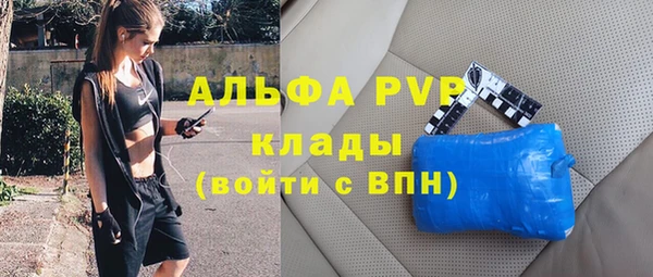 каннабис Богданович