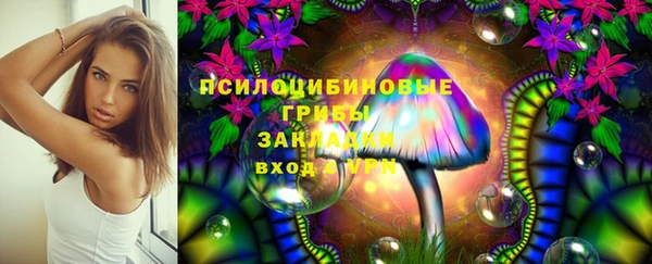 сатива Богородицк