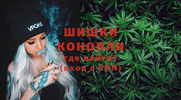 МДПВ Богородск