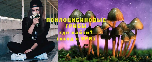 МДПВ Богородск