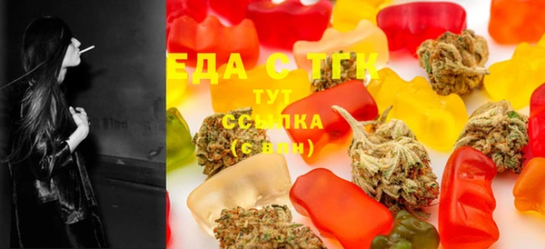 МДПВ Богородск