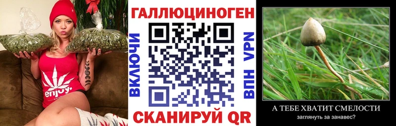 Галлюциногенные грибы Psilocybe  kraken онион  Далматово 
